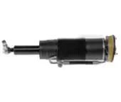 W221-2223200513 Air suspension