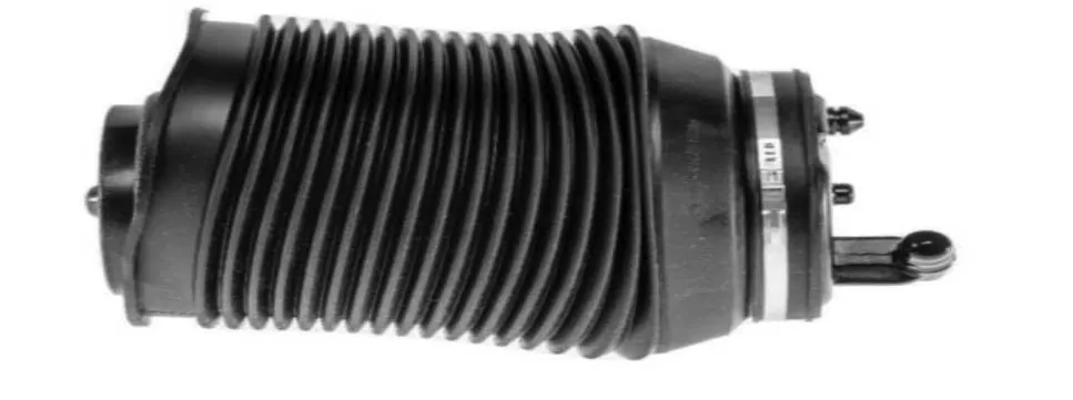 Land Cruiser Prado 120 J120 2002-2009 Rear Left Toyota Prado 120 Rear Left air spring 318